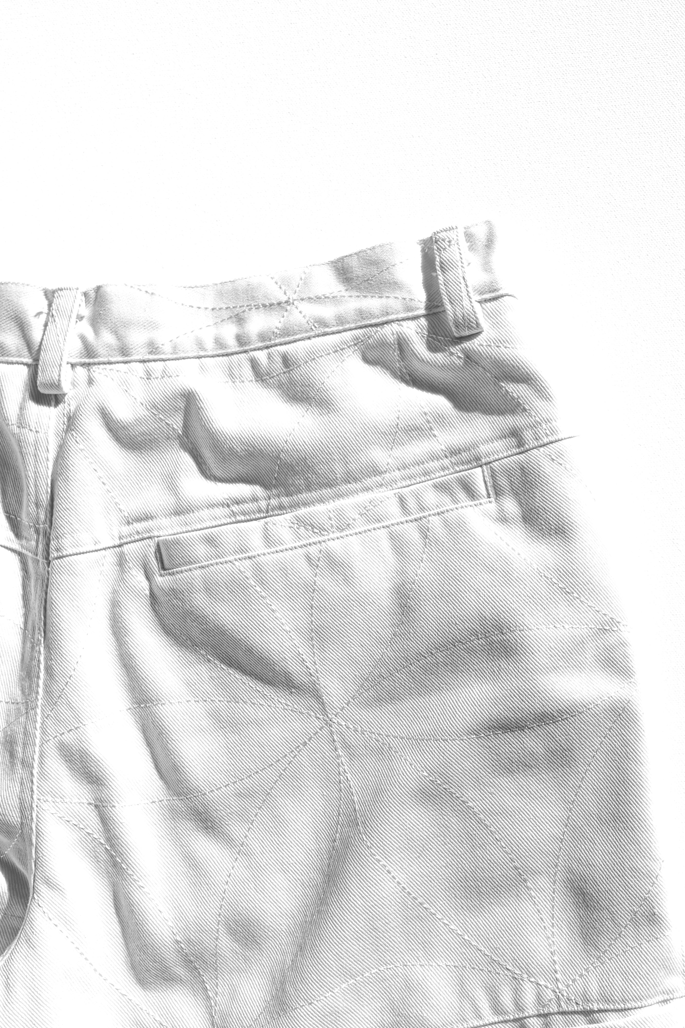 GREENHOUSE UTILITY PANTS [WHITE]
